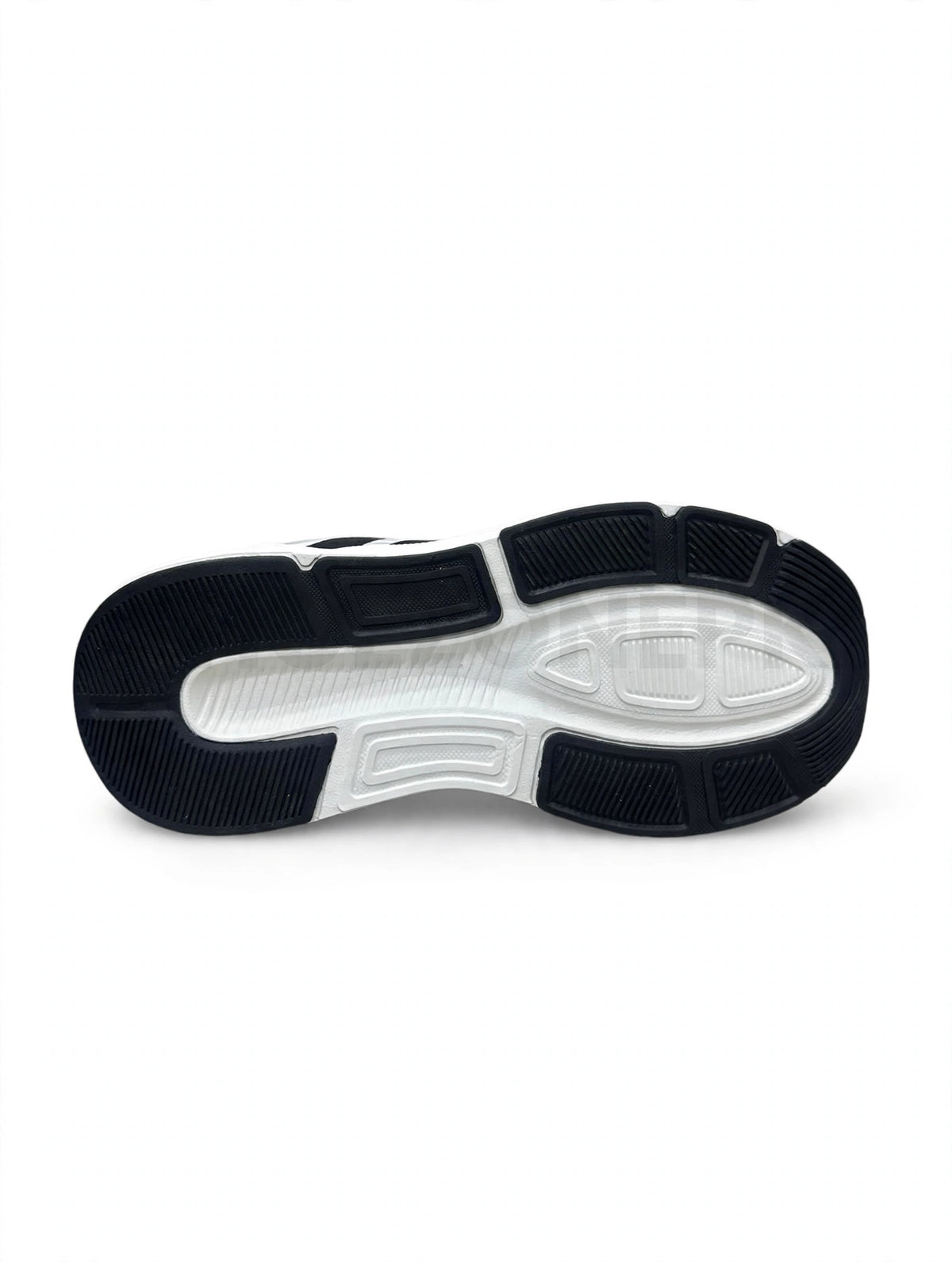 AD Questar 3  White Black