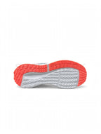 NK Pegasus Grey Coral